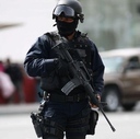 berkut