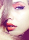 tedi_1801