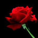 anelim68
