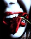 dany_vd7
