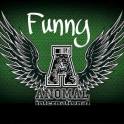 anomal_funny