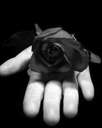 gabetoo0_vip