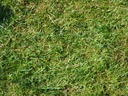naskoto91