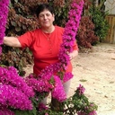 lilimarinova