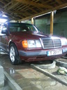 ivo_2011