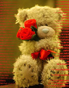 daninceto_952