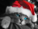 little_princess27