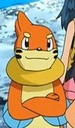 buizel_cool