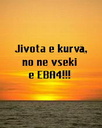iva_9106065117