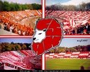 cesekar_94