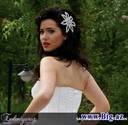 seyde