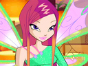 winx_stella1