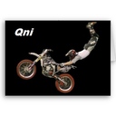 qnis_3000