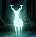 expectopatronum