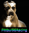 pitbull96racing