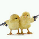 waffe