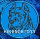 vikenceto77