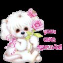 baris_12