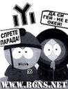koko_953