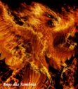 fenixfromthehell