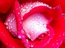 anna_love64