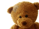 tedi_too_333
