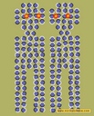 mlk386