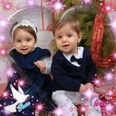 farfalla_1331