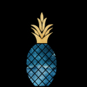cinenoir