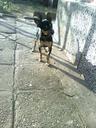 hubee