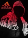 one_day