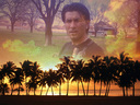 pumata_1982