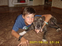 razbiva4a2000