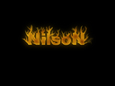nilson