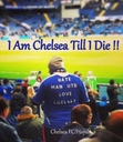 venci_chelsea