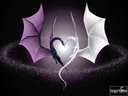 zarazno_fenche