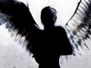 the_dark_angel_
