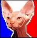 devilcho0o