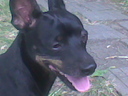 kidza