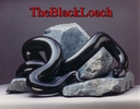 theblackloach
