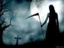 theundertaker__