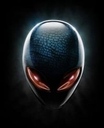 malkiq84
