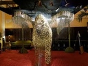 light_griffin
