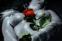 messalina_m