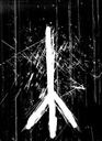 rotting_maggot