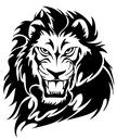 barakuda