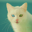 aleks_1296