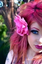 kiss_my_face