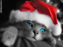 duboff_