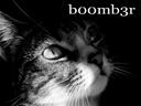 b00mb3r_